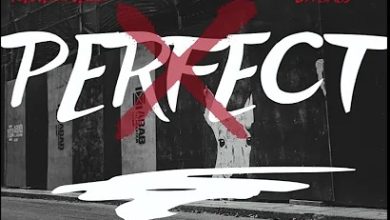 Icewear Vezzo – Perfect ft. DaBaby Mp3 Download